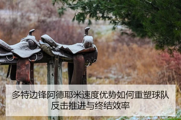 多特边锋阿德耶米速度优势如何重塑球队反击推进与终结效率 - kaiyun